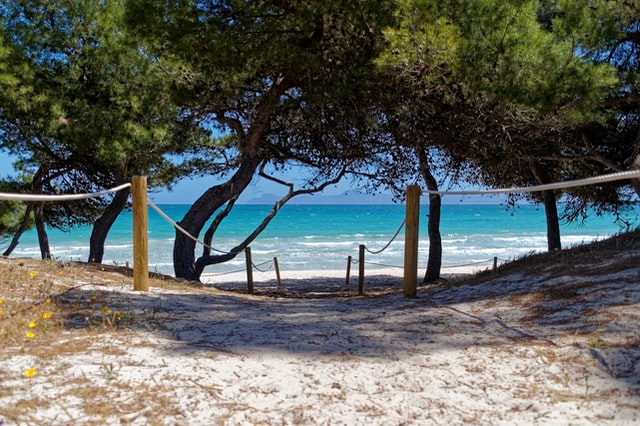 Les meilleurs plages de Majorque
